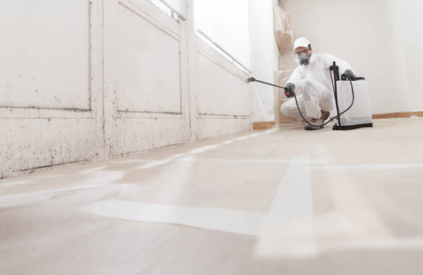 24/7 Emergency Basement Mold Remediation experts in Pikesville, MD